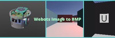 Converting Webots Image to BMP Image