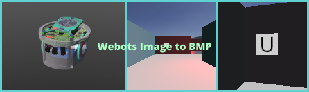 Webots Image to BMP