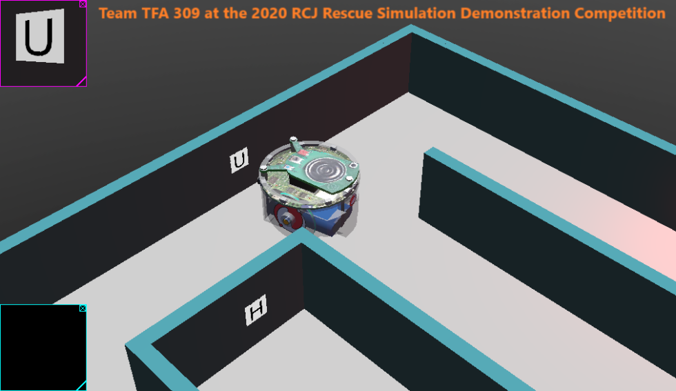 Future Image Processing in the RoboCup Junior Maze Simulation World